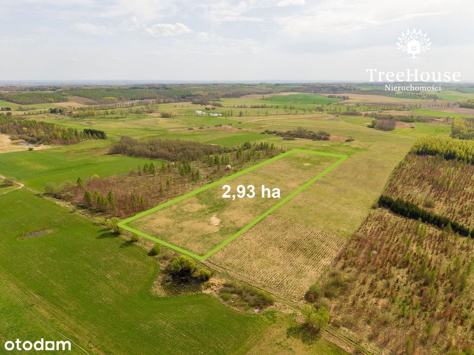 Grunty orne, Dwórzno, Górowo Iławeckie.