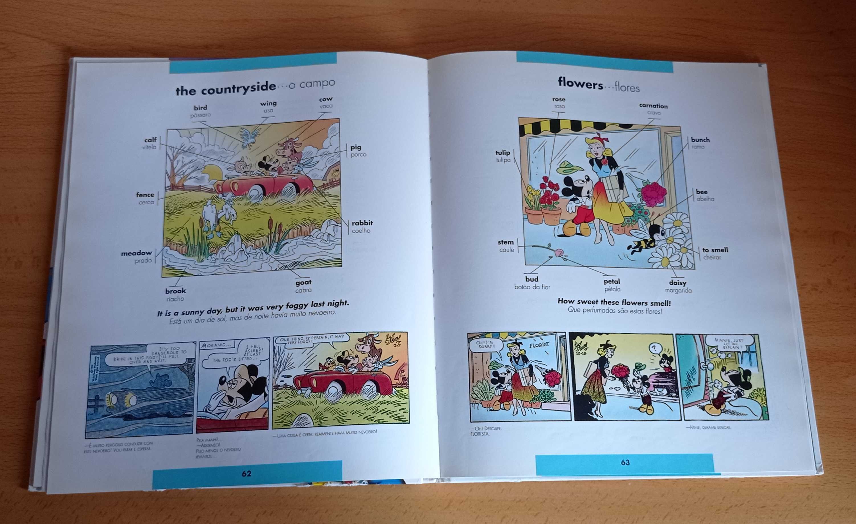 Dicionário ilustrado Inglês - Português Disney Mickey e Minnie