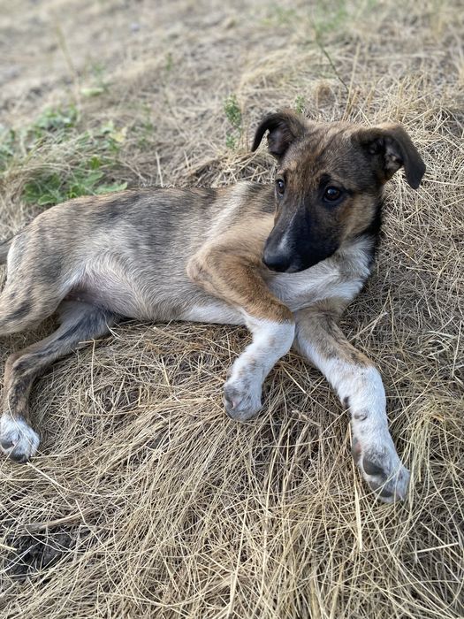 Девочка ищет заботливые ручки