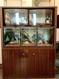 Terrarium 10 akwariów do hodowli węży gadów zwierząt z podgrzewane