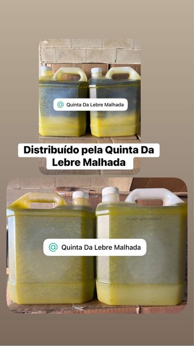 Vendo e damos a provar