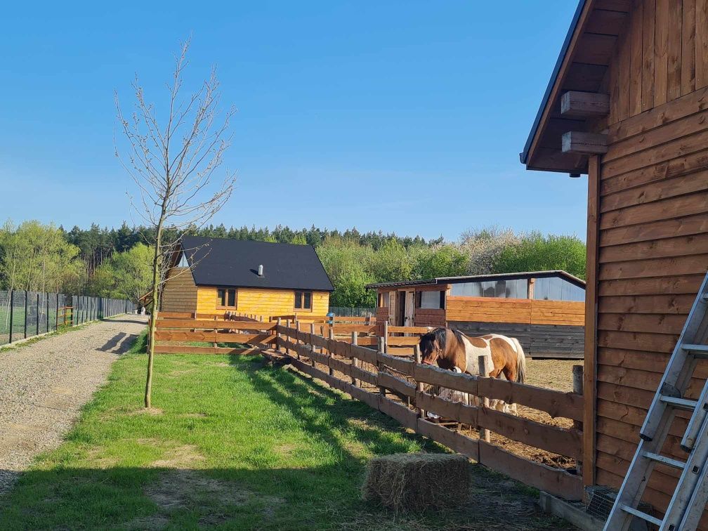 Domek w stylu góralskim z widokiem na jezioro  jacuzzi
