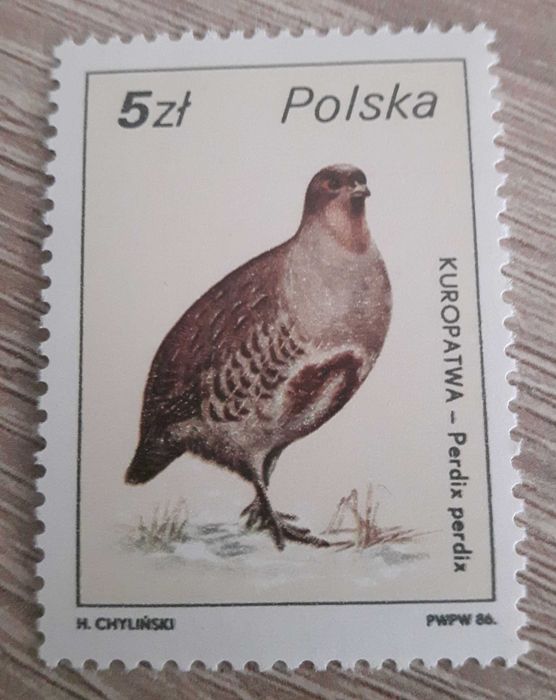 Znaczki Fi. 2871 do 2876; 2878 czyste z roku 1986