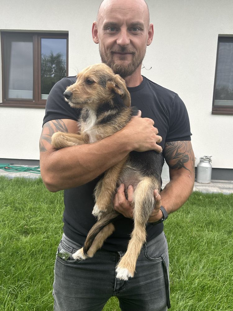 Piesek (bialy ) i suczka , szukaja domkow