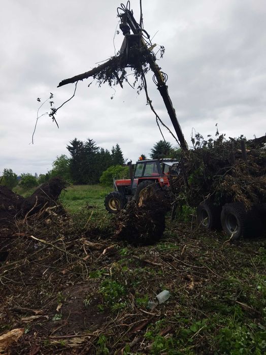 Wywóz gruzu i gałęzi