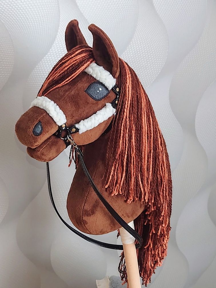 Hobby horse konik