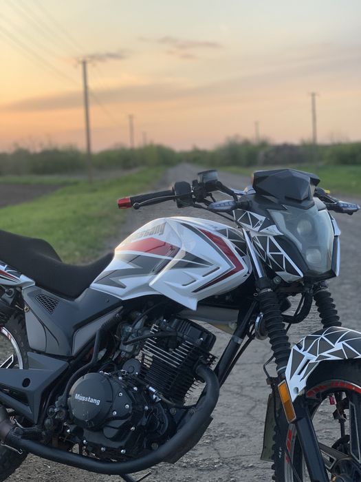 Мустанг Регион 200 | Musstang Region 200