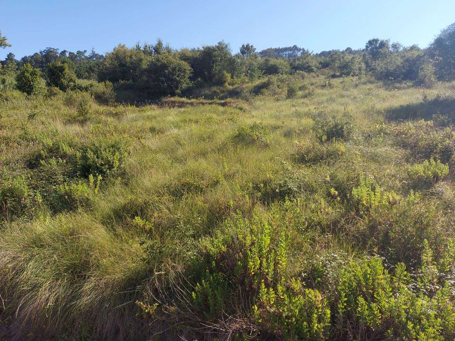 Terreno para Venda