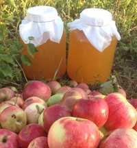 Натуральный нефильтрованный яблочный уксус на мёде (яблуневий оцет)