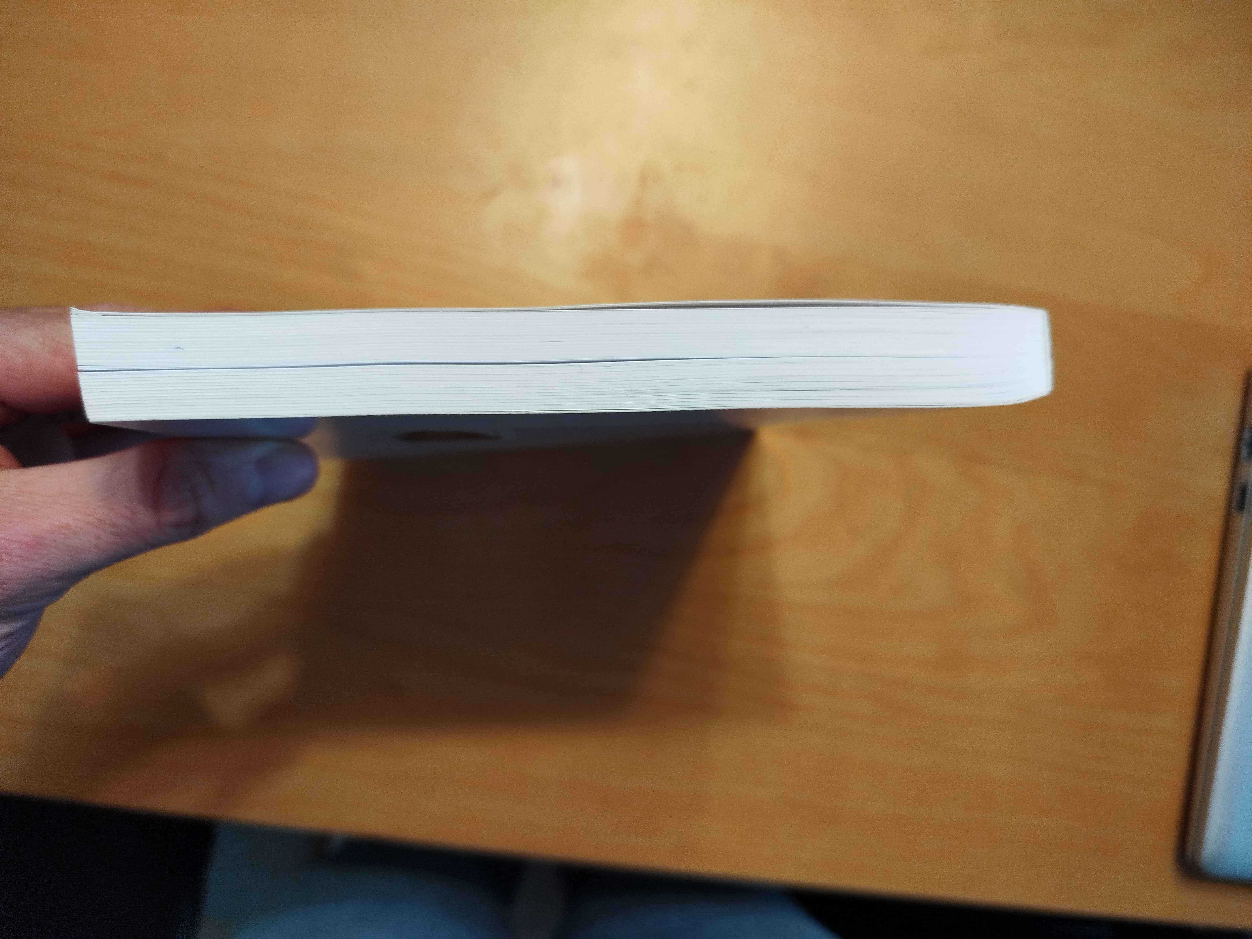 Livro Otimização Combinatória e Programação Linear, de Ana Moura