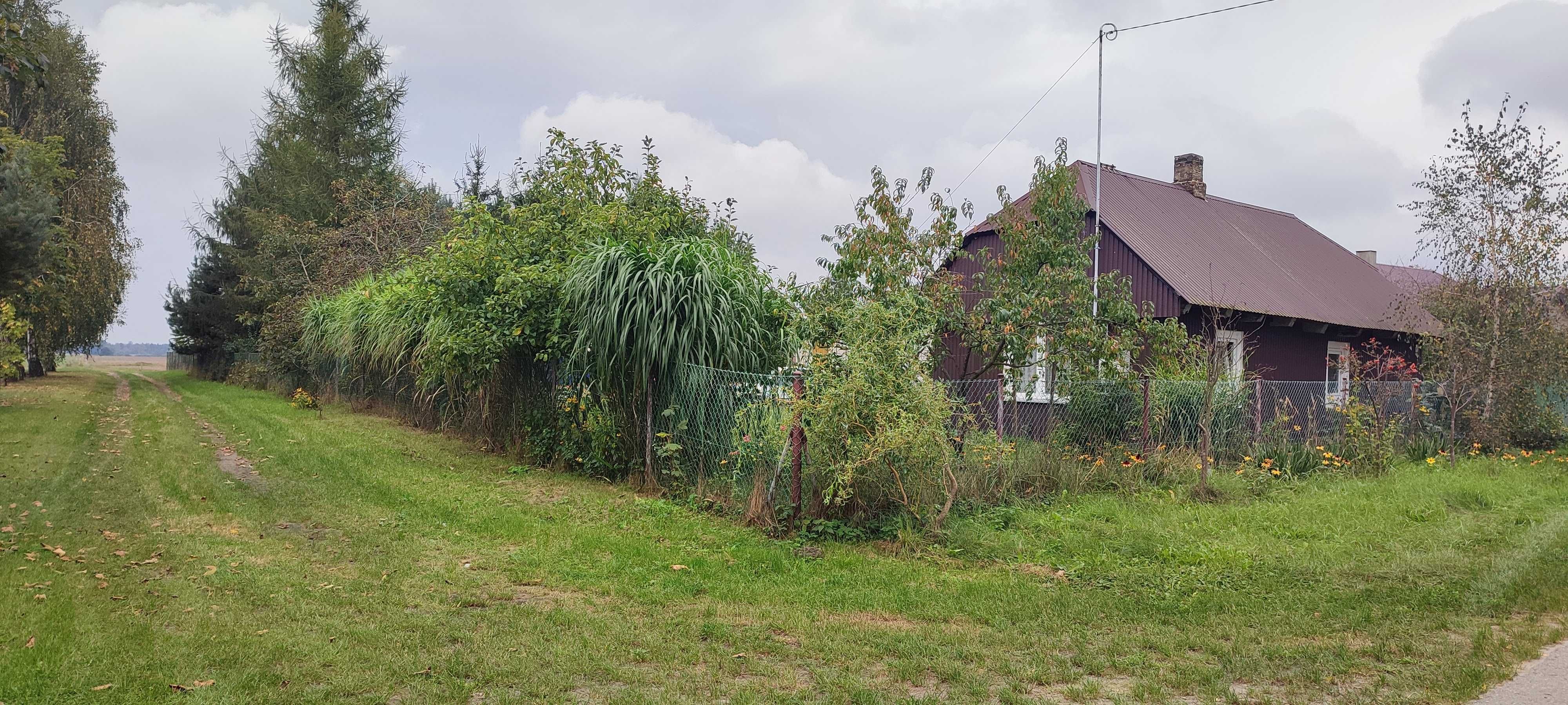 Gospodarstwo w spokojnej okolicy