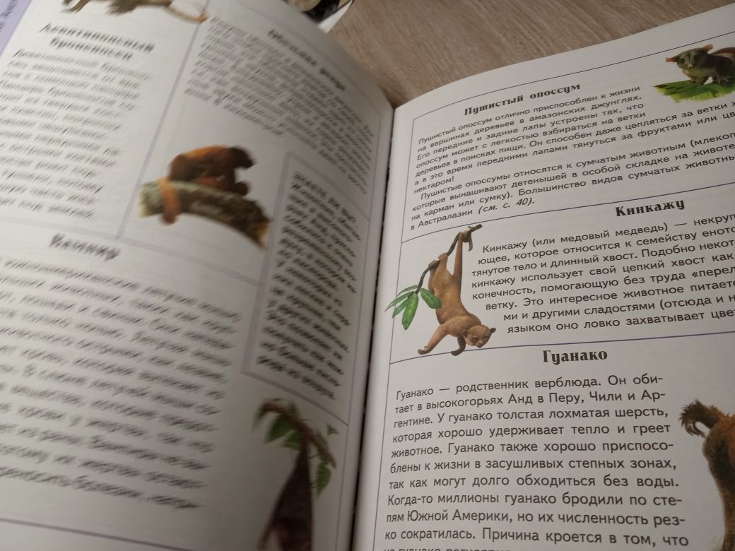 Книга фауна животный мир для малышей инциклопедия. Русс. Яз