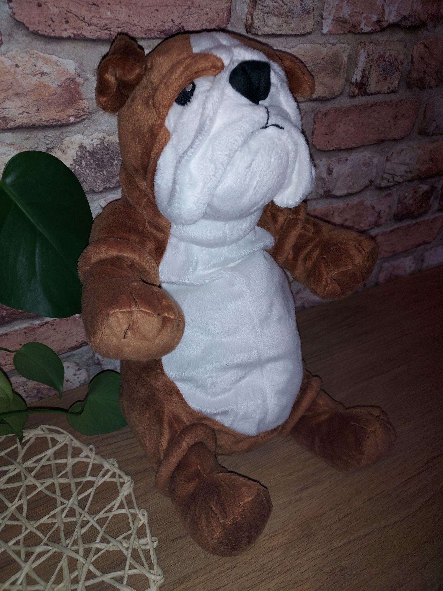 Maskotka duży piesek Bulldog z niedostępnej już kolekcji Ikea Klappa