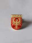 Herb miasta Kcynia przypinka wpinka odznaka