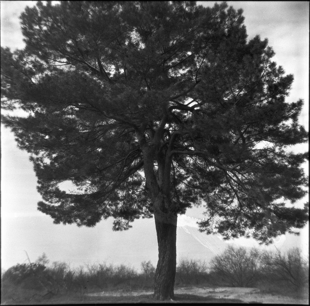 Фотоаппарат Halina A1 (120 формат) в отличном состоянии