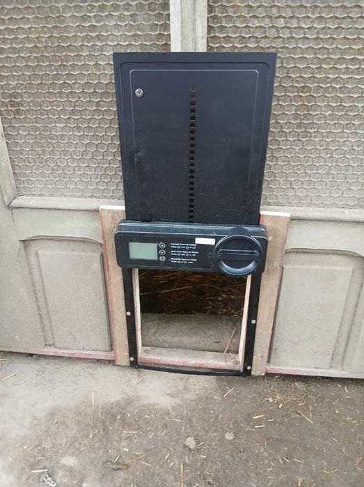 Automatyczne Drzwi Do Kurnika Gołębnika Zegar Zamknięcia I Otwarcia