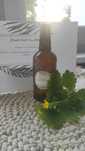 HYDROLAT glistnik jaskółcze ziele 100 ml