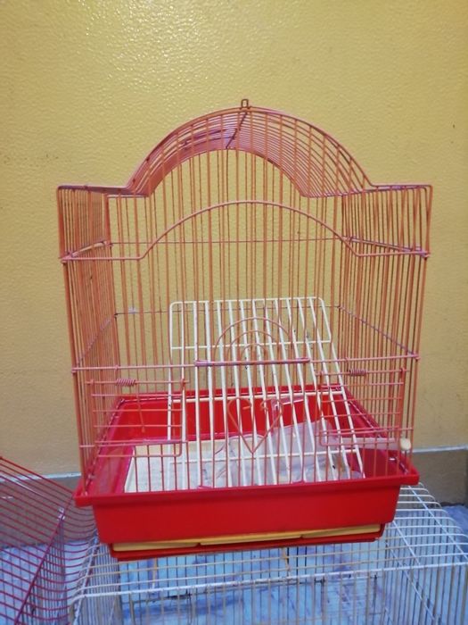 Gaiolas bonitas / pouco uso