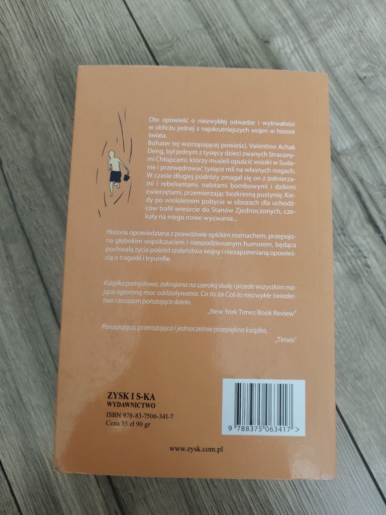 Dave Eggers - Co to za coś