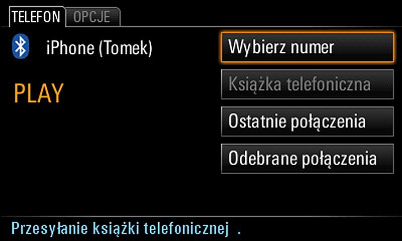 PORSCHE PANAMERA CAYENNE MACAN 911 polski język polskie menu lektor