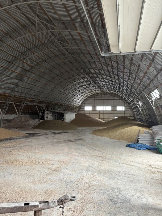 Діючий бізнес. Діюча комплексна свиноферма