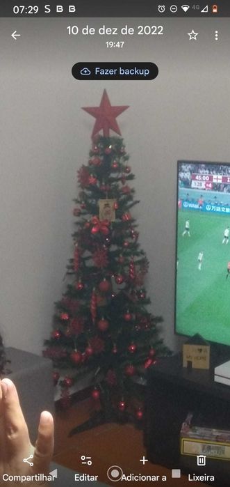 Árvore de Natal completa - com todos os enfeites