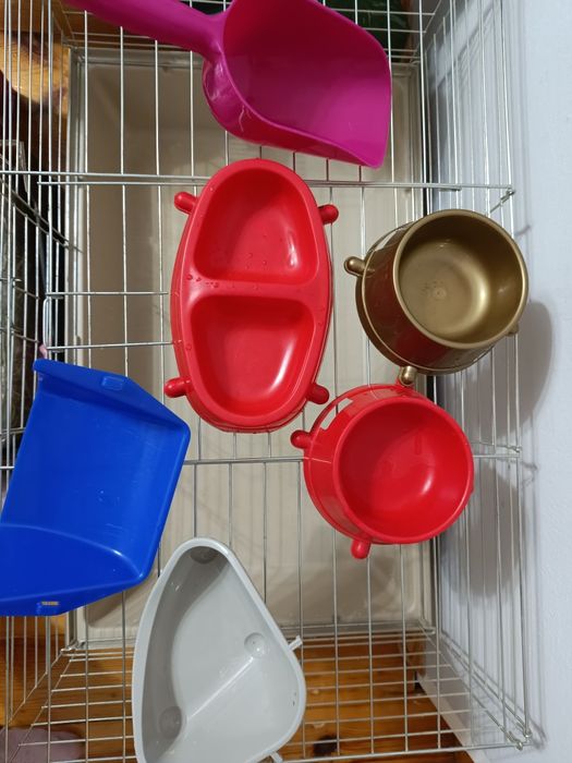 Akcesoria dla gryzoni