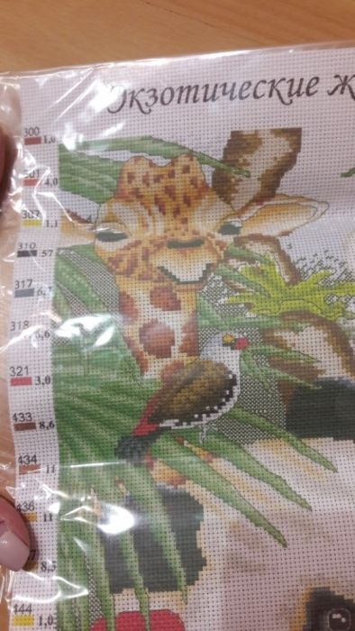 Канва с нанесённым рисунком