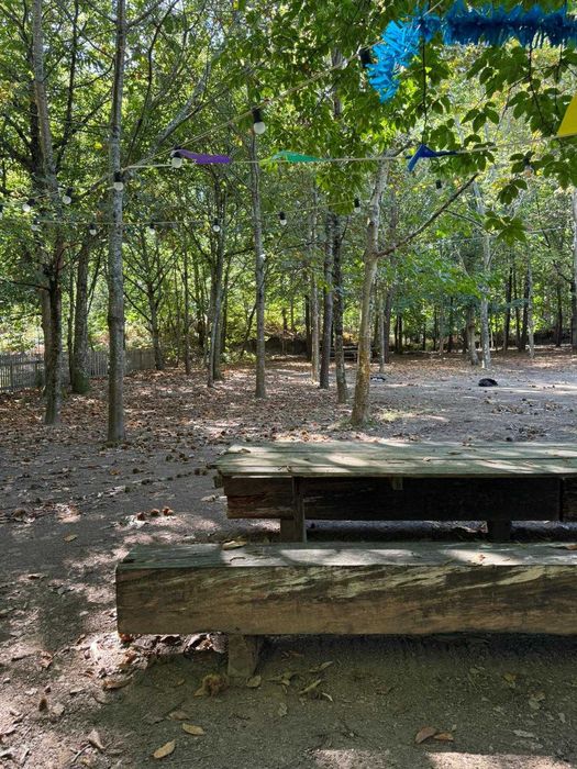 Espaço para Festas- Bosque do Choupal