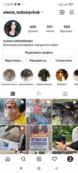 Чорнопідпалий хлопчик карликових міні такс