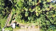 Terreno para construção em Forjães de 2351,00 m2
