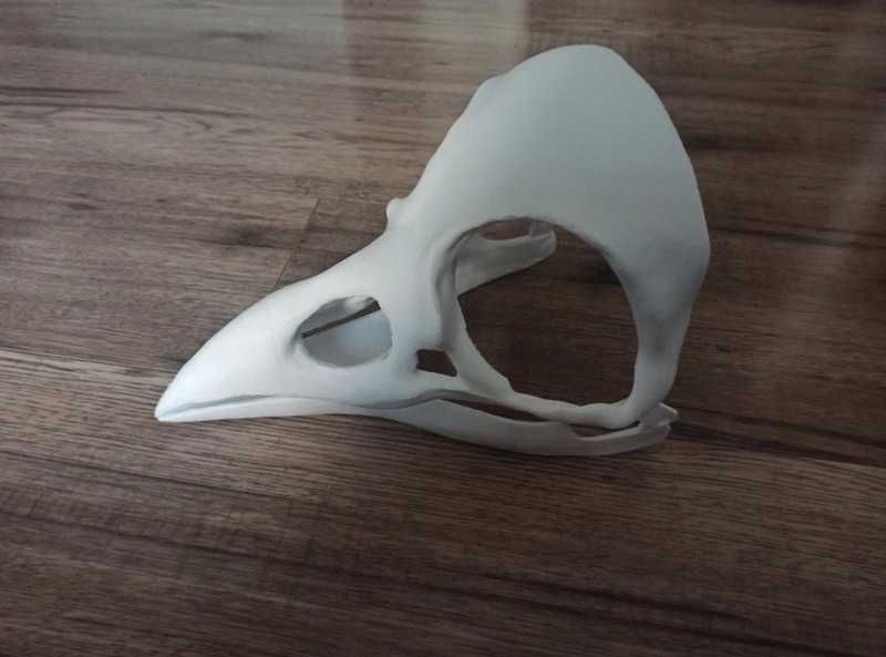 Maska czaszka kruka crow mask na twarz [DRUK 3D]