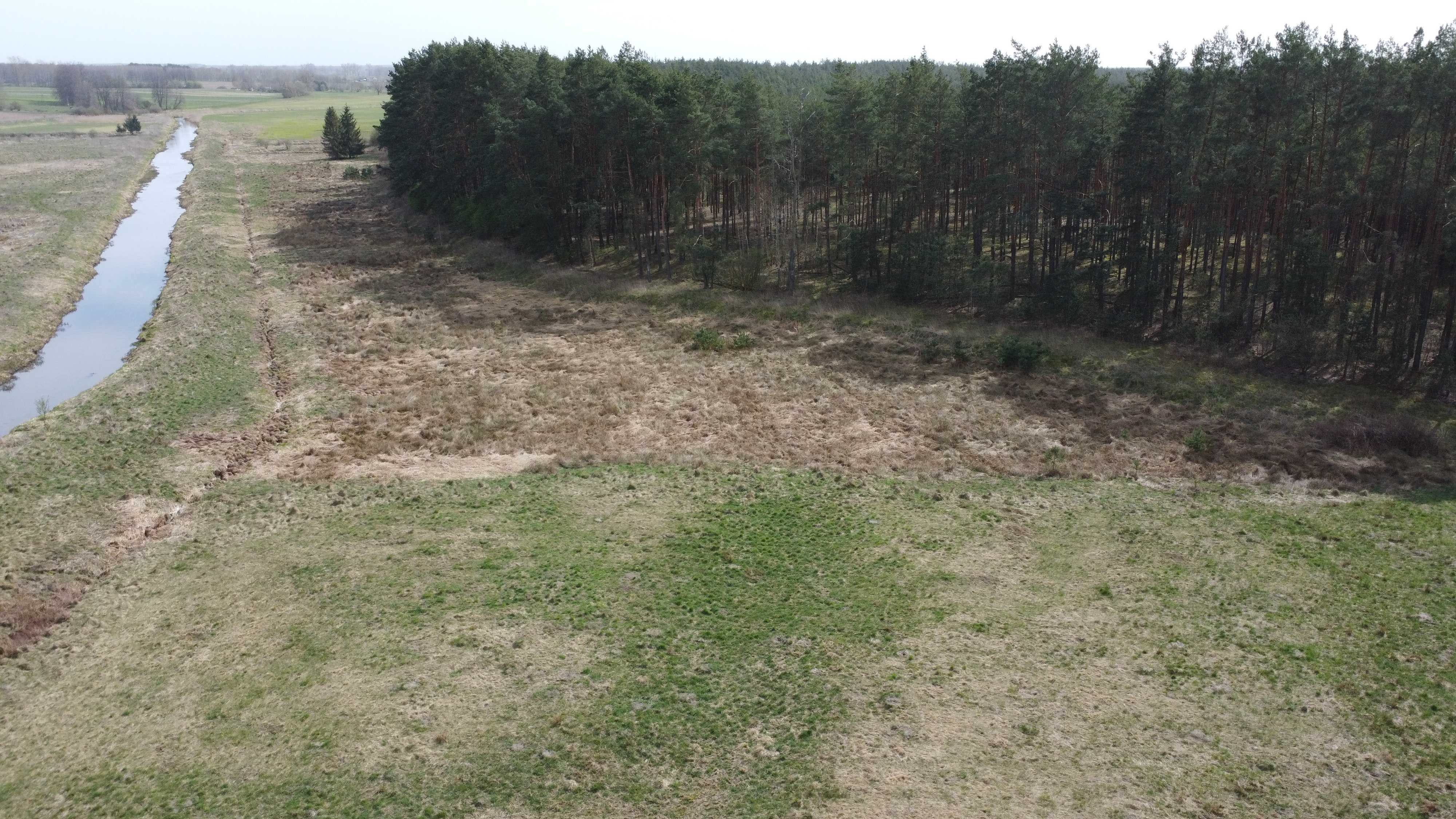 Sprzedam łąkę w pobliżu lasu oraz rzeki. Torf.