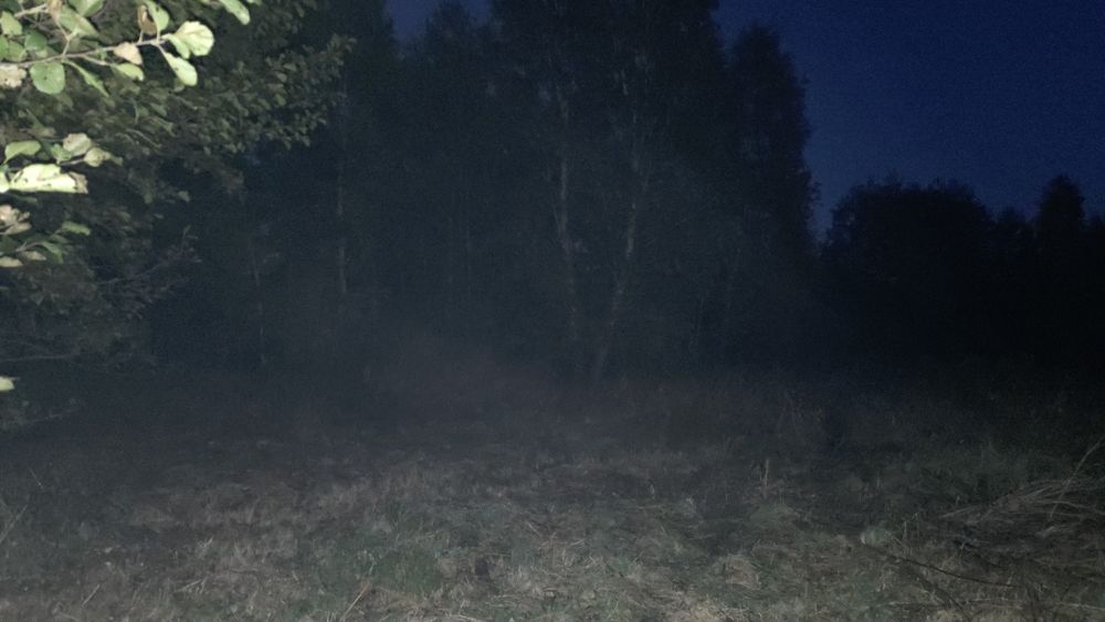 Sprzedam Drzewo około 30m2