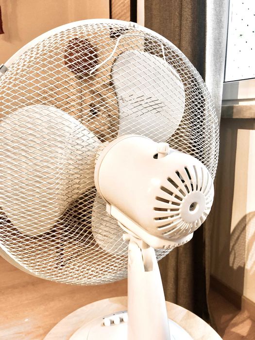 Ventoinha / Ventilador (Campo de Ourique, Lisboa)