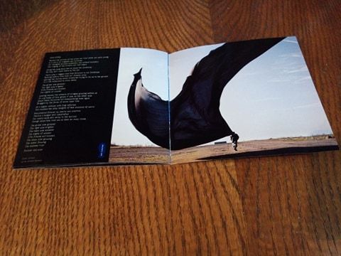 CD Pink Floyd - The Division Bell (фірмовий диск, Англія 1994)