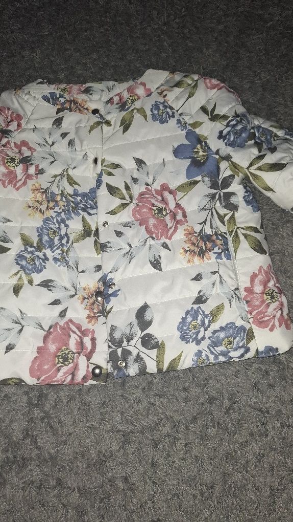 Kispo florido ate L