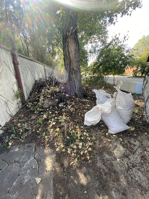 Вывоз веток , хлама , чистка квартир , обрезка деревьев, демонтаж .