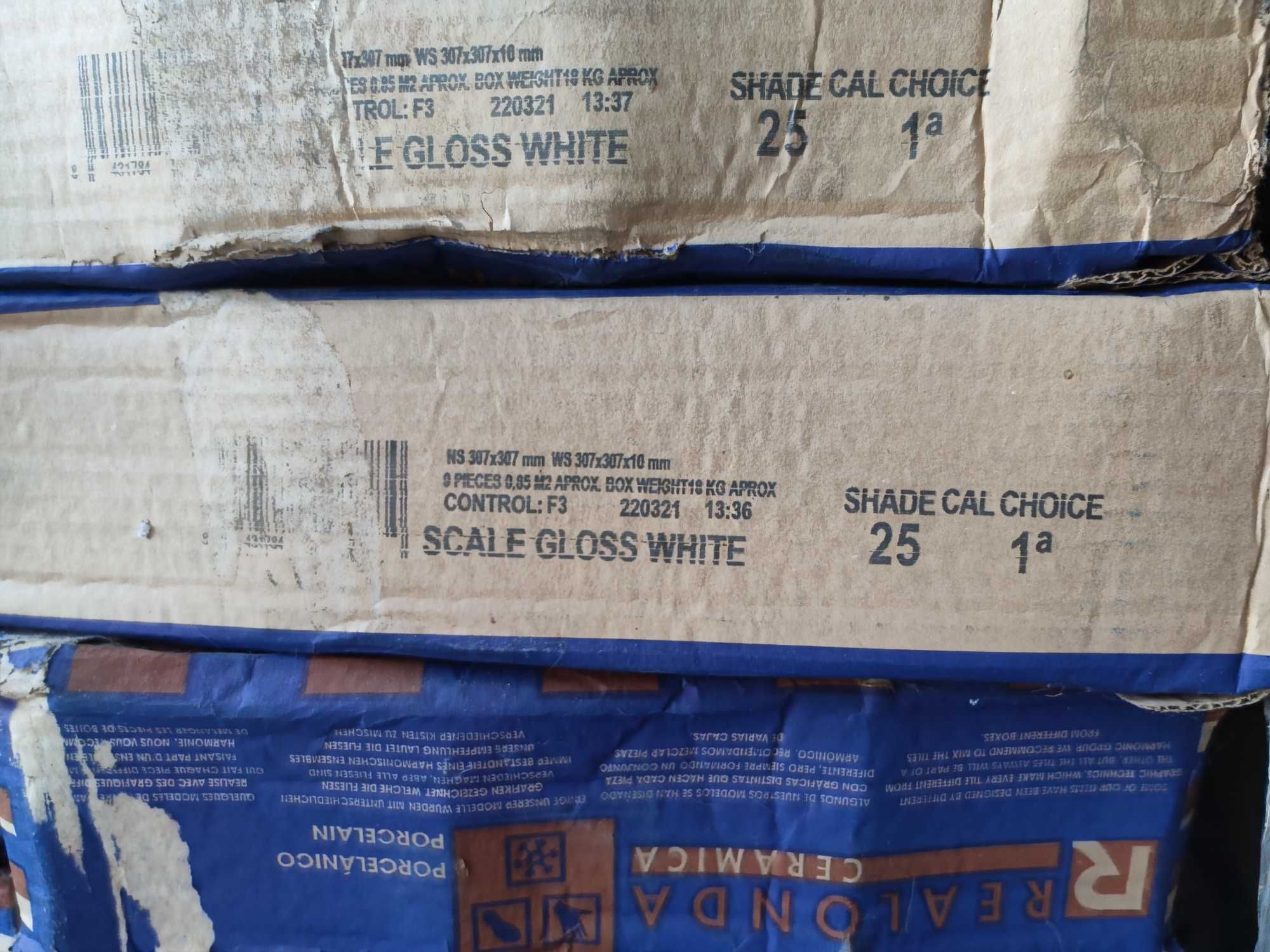 Płytki Scale Gloss White