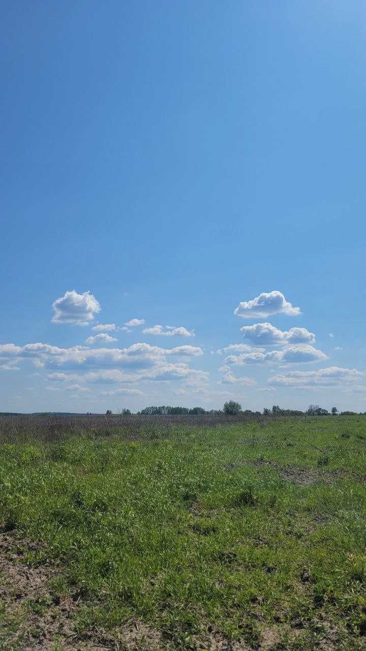 ТЕЛЕФОНУЙТЕ! Продаж ділянки на 10 соток!! Без комісії, під забудову!
