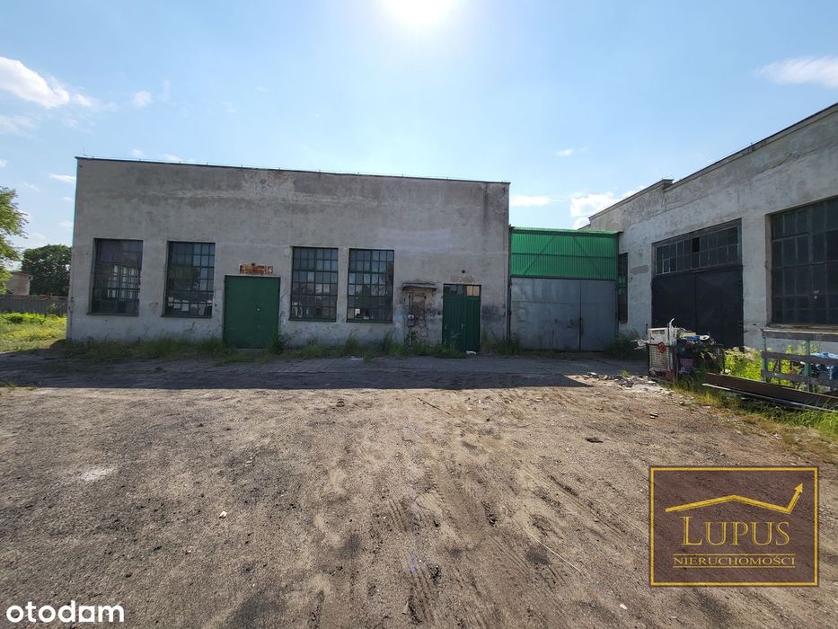 Hale na wynajem w Stargardzie