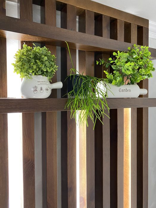 Рипсаліс, лісовий кактус