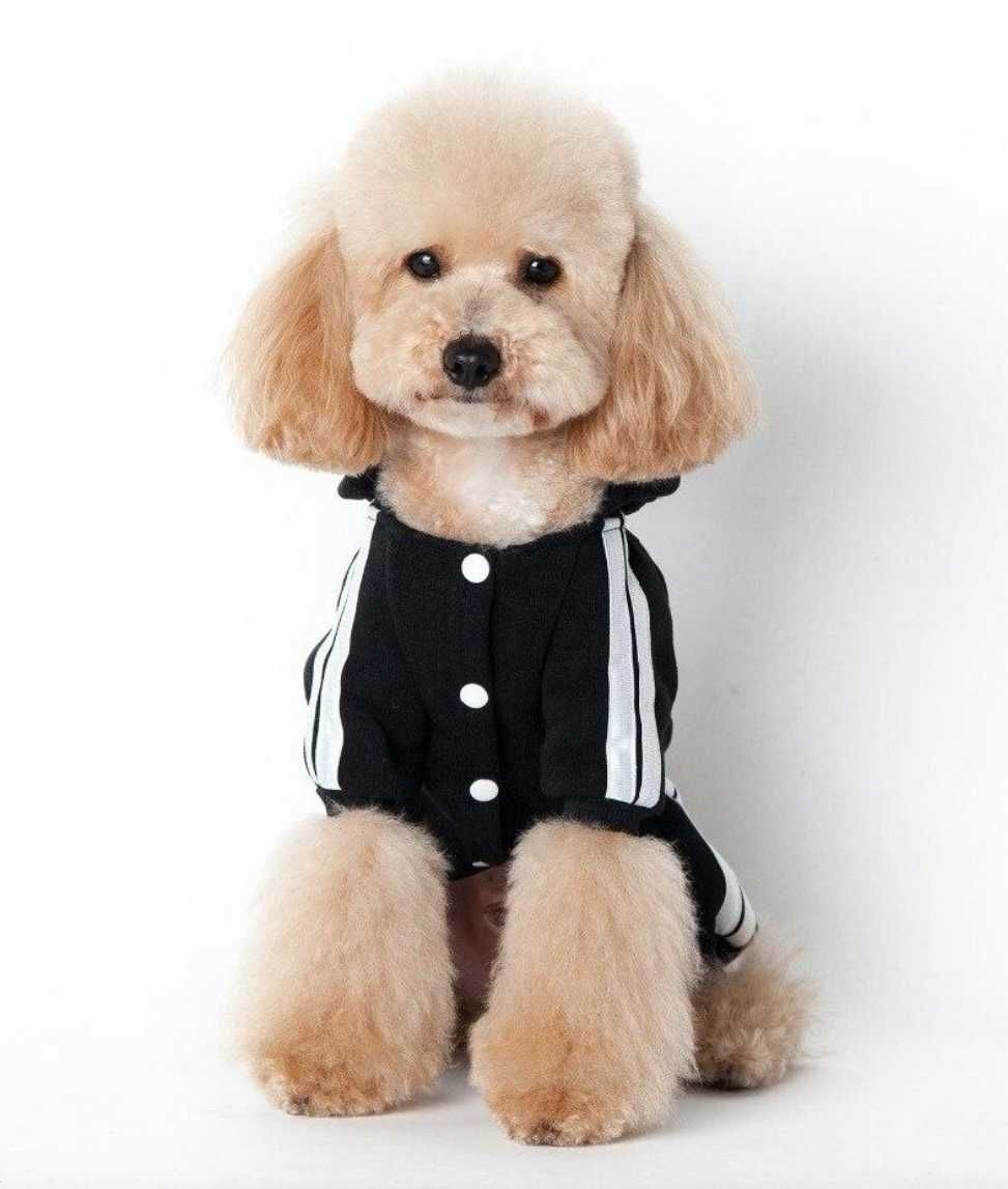 Спортивний костюм Комбінезон для собак Adidog, новий, S-М