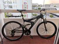 Bicicleta Wheelworx