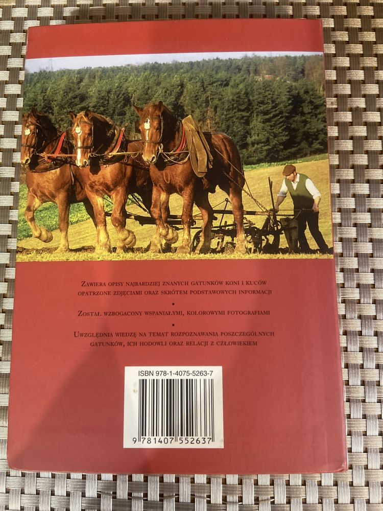 Konie i kuce -kieszonkowy przewodnik Corinne Clark