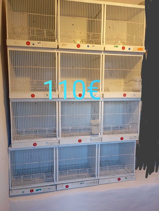 Só vendo esta semana este preço 110€