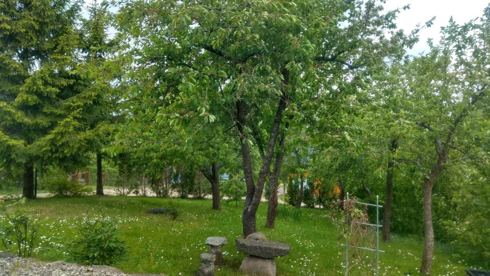 Nocleg na jeziorem Ołów w Rynie - domek 4 osobowy i więcej