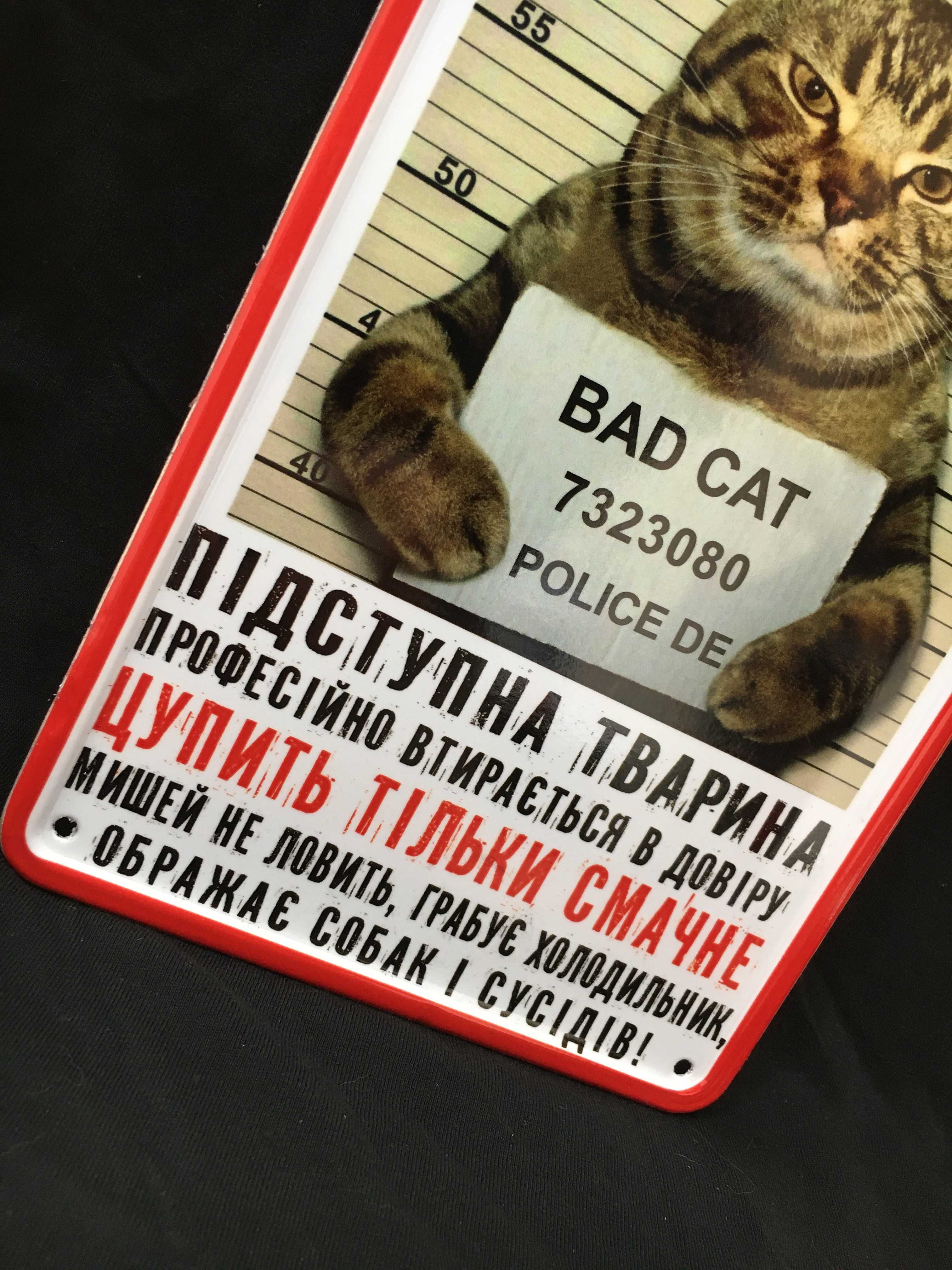 Злий кіт хуліган кішка домашня тварина товстий кіт маленьке кошеня