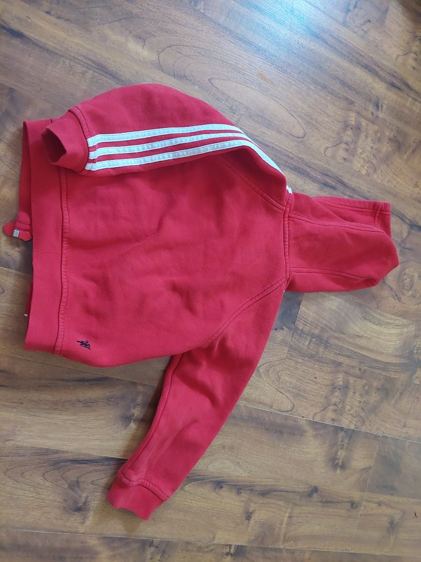 Bluza adidas 74/80