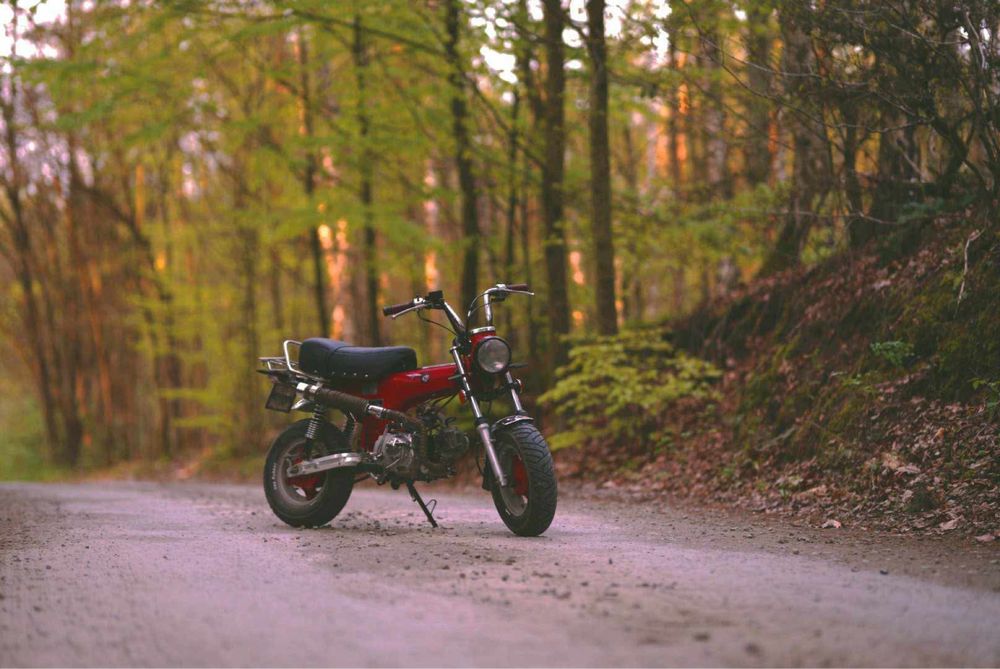 Honda dax st50 (skyteam)